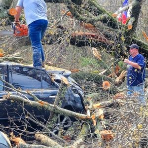 We Had a Tornado Drop our huge beautiful tree fall on our home and cars!
